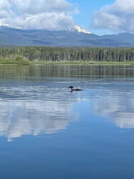 Did All Waterwell image1